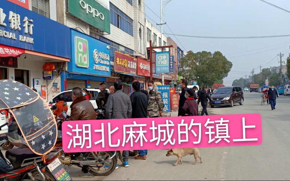 解封后的湖北麻城市的小镇,银行排队的人到路上,街上恢复正常哔哩哔哩bilibili