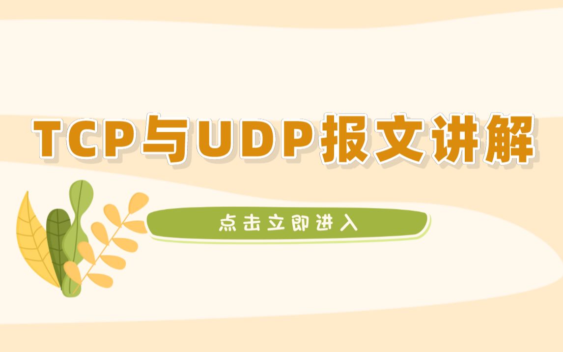 【技术专题】TCP与UDP报文讲解哔哩哔哩bilibili