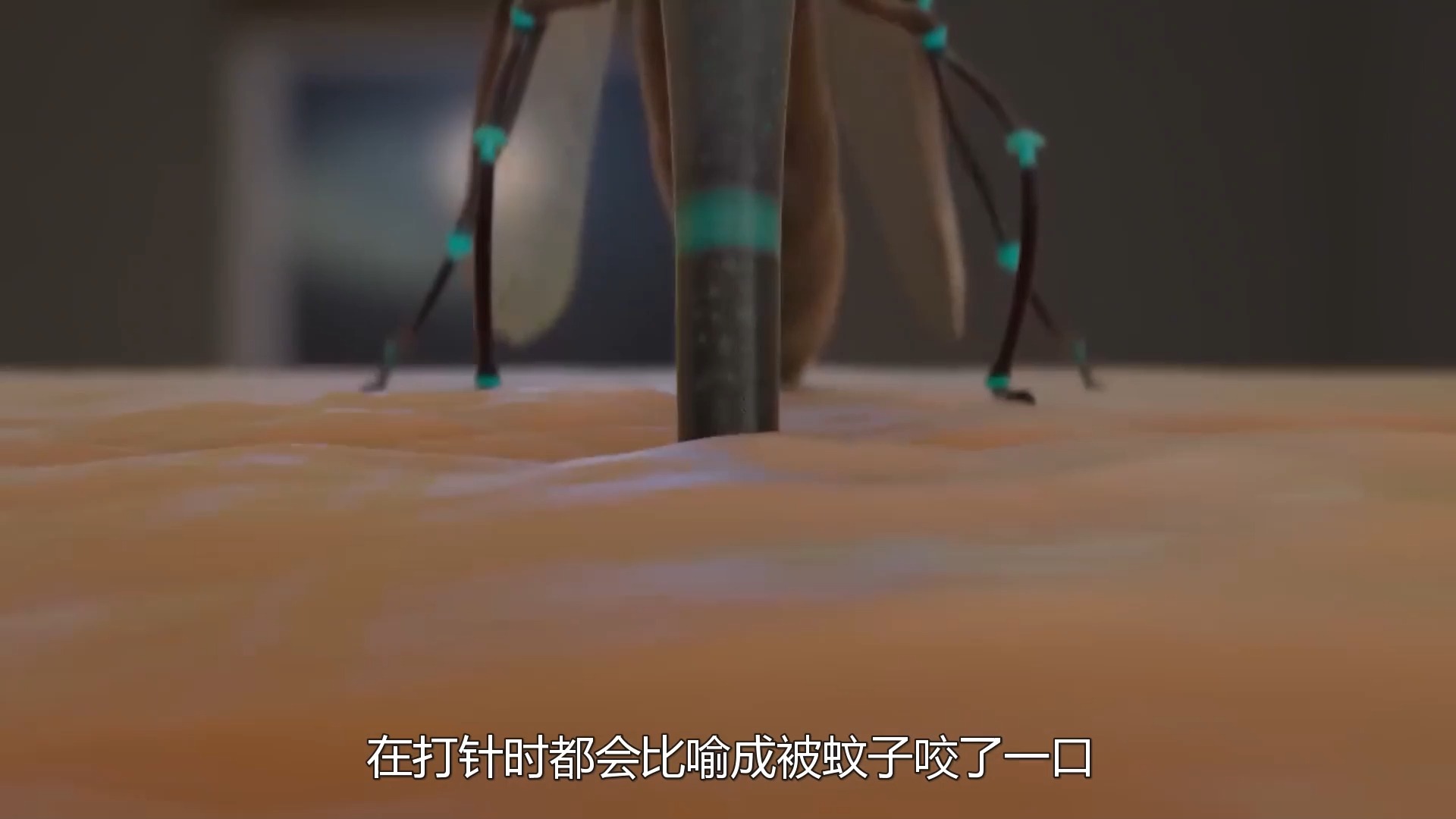 583 蚊子吸血过程到底有多恐怖?