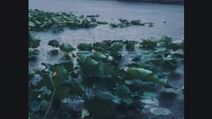 [图]一曲江南烟雨中，多少醉生梦死鬼！