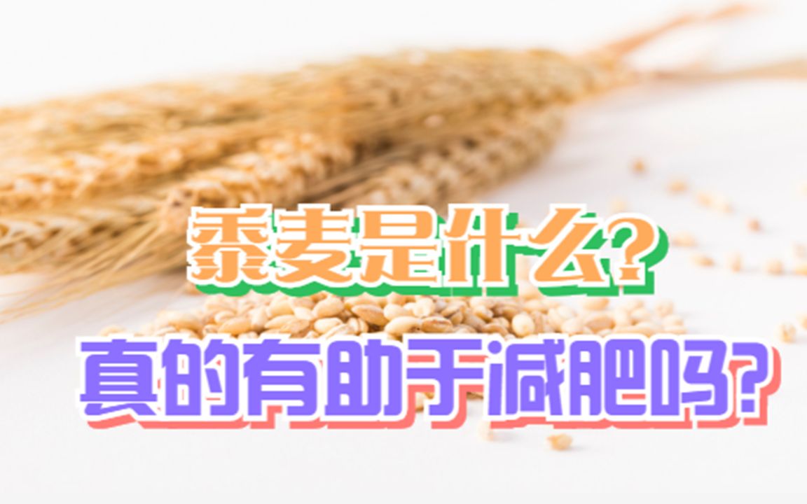 黍麦是什么?真的有助于减肥吗?哔哩哔哩bilibili