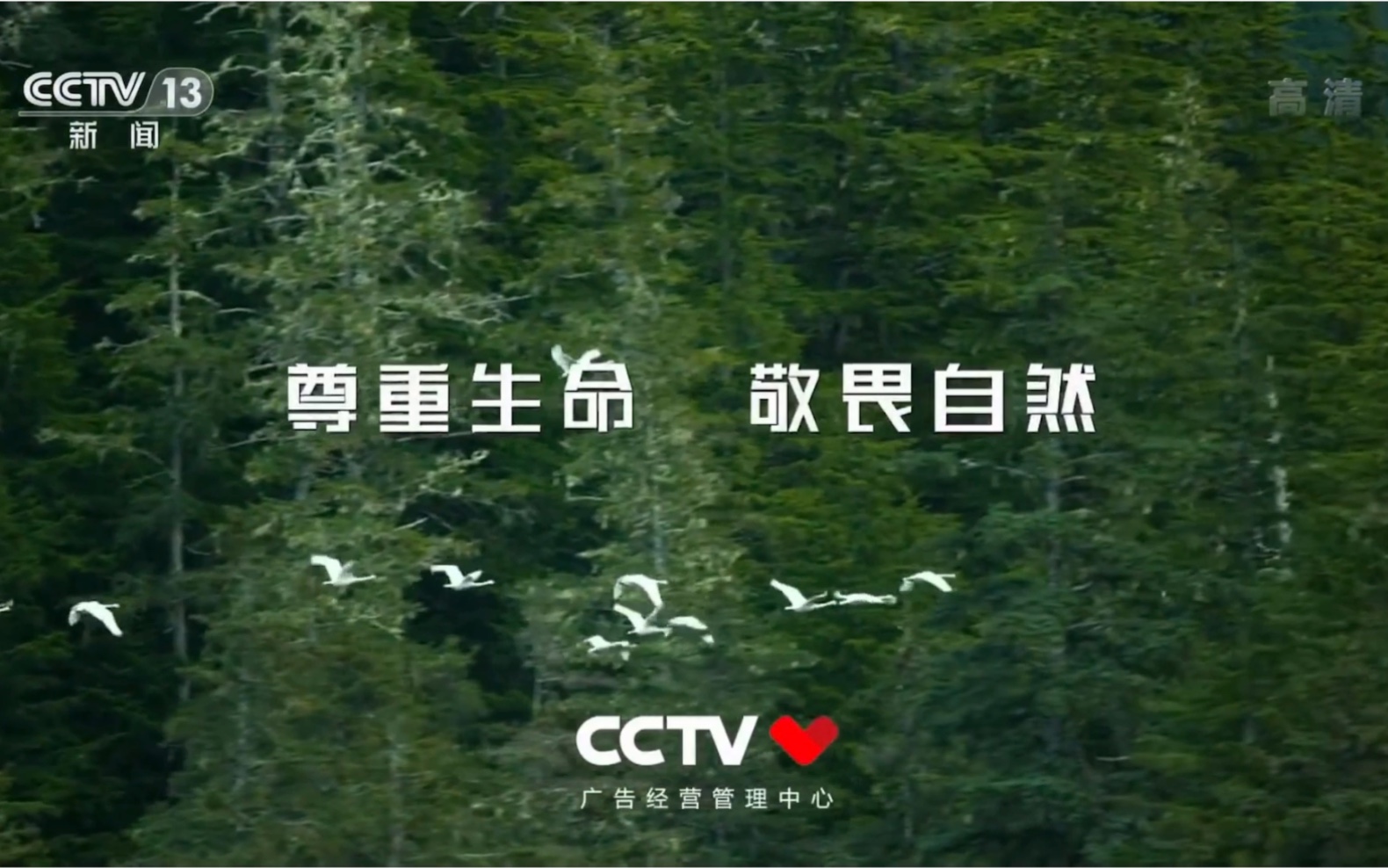 cctv12公益广告图片