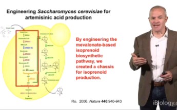 [图]【iBiology】Jay Keasling: Engineering Microbes to Solve Global Challenges