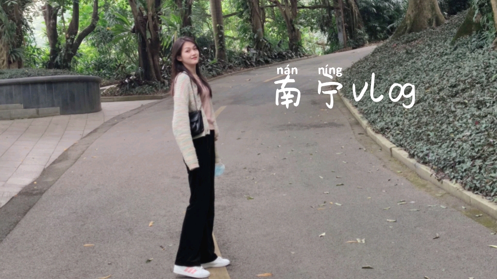 广西南宁vlog哔哩哔哩bilibili