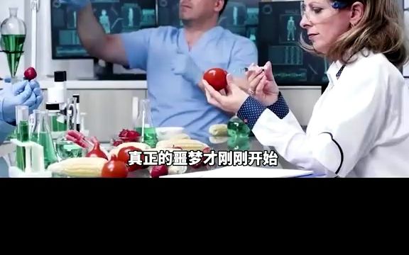 企图控制全世界?美国最恶臭公司孟山都哔哩哔哩bilibili