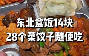 Tải video: 东北盒饭自助，14吃28个菜！饺子随便吃～