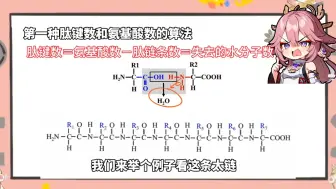 Download Video: 蛋白质的相关计算（1）