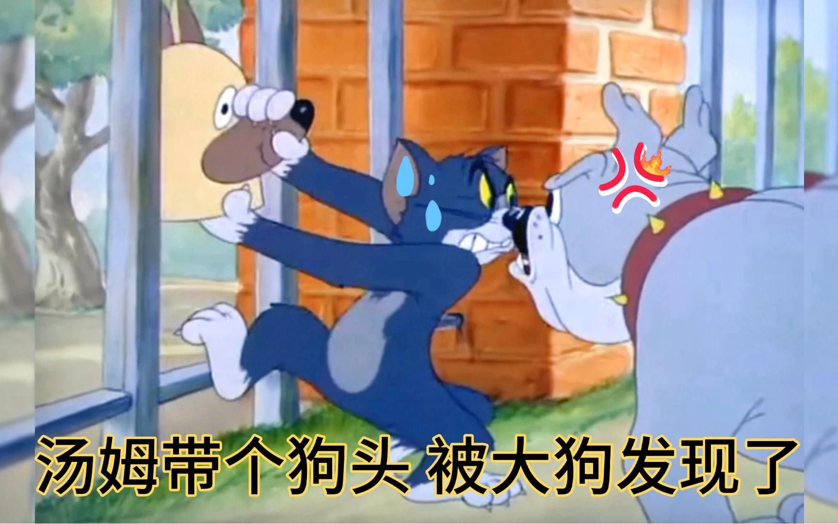 搞笑方言动漫配音猫和老鼠沙雕汤姆带个狗头被大狗发现了