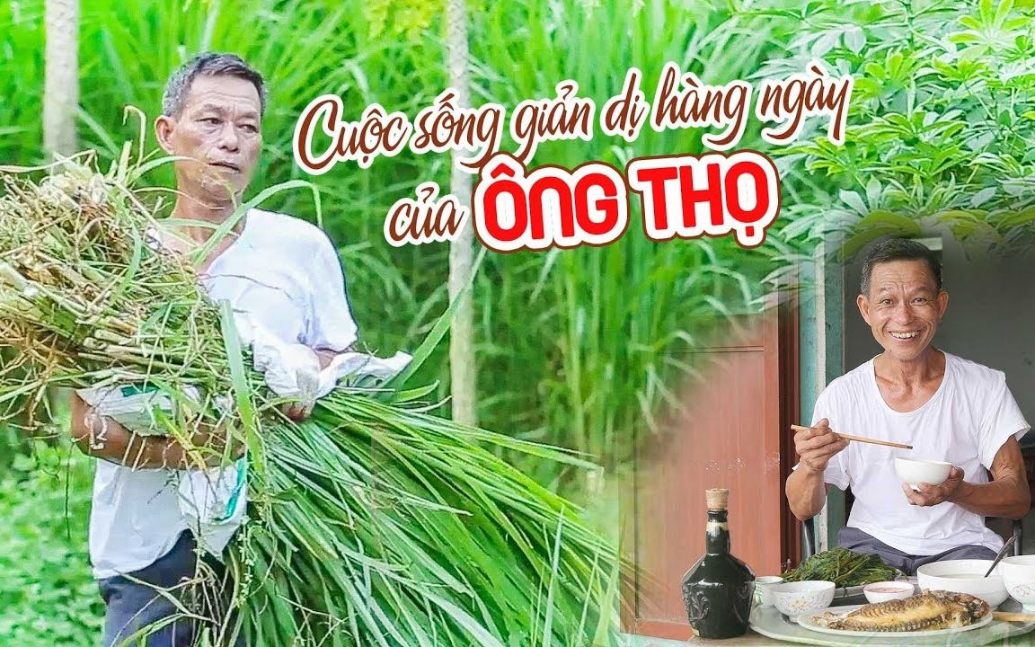 [图]Cuộc Sống Giản Dị Hàng Ngày Của Ông Thọ | 越南田园生活