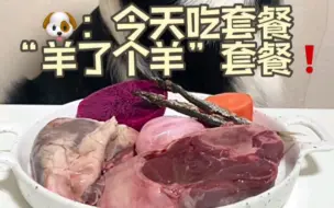 Скачать видео: 边牧生骨肉吃播|小狗也有羊了个羊套餐吃？！比我都幸福！