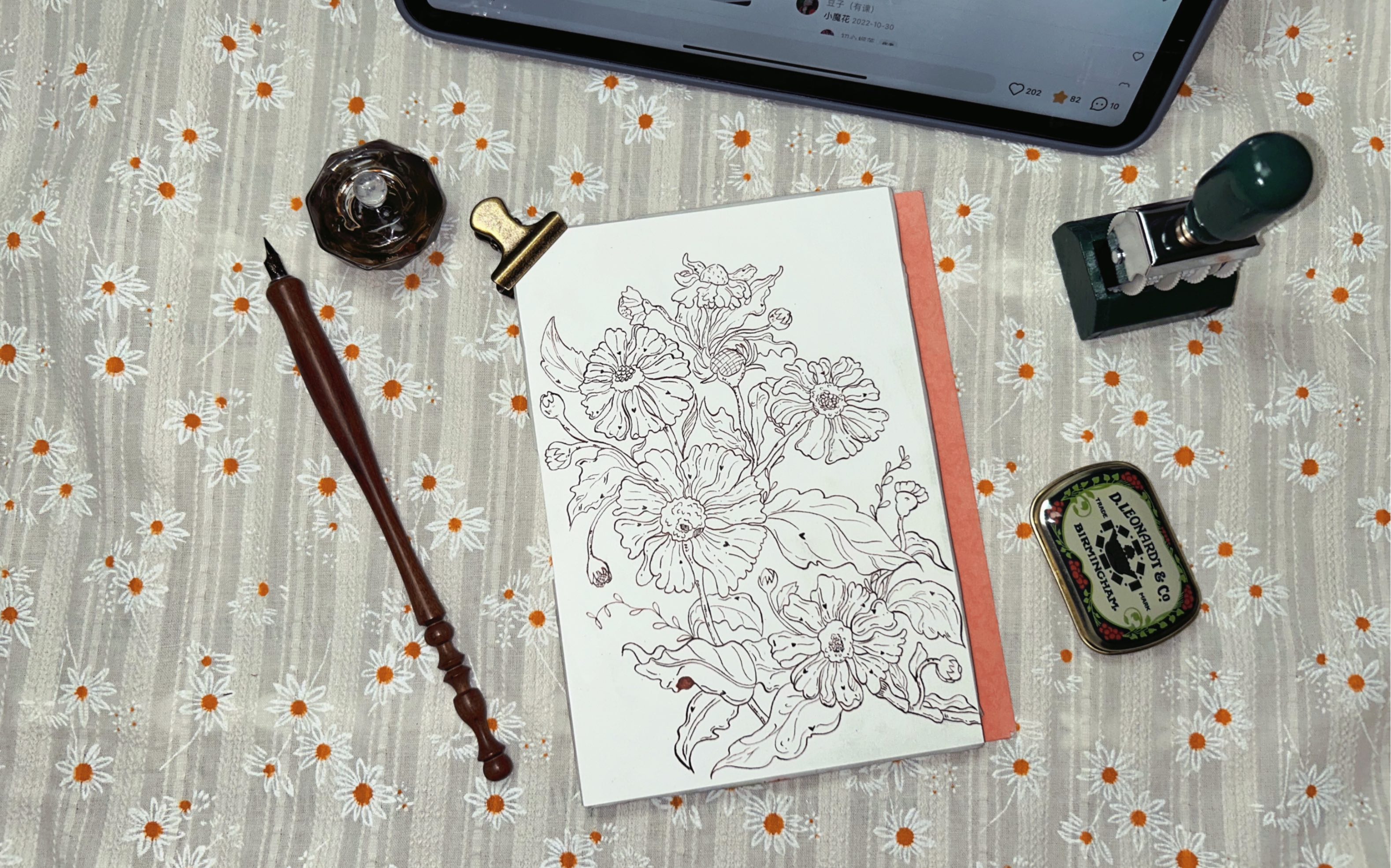 【水彩】【钢笔淡彩】自然笔记|小雏菊