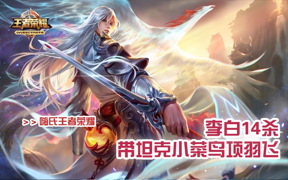 嗨氏王者荣耀:李白14杀带坦克小菜鸟项羽飞