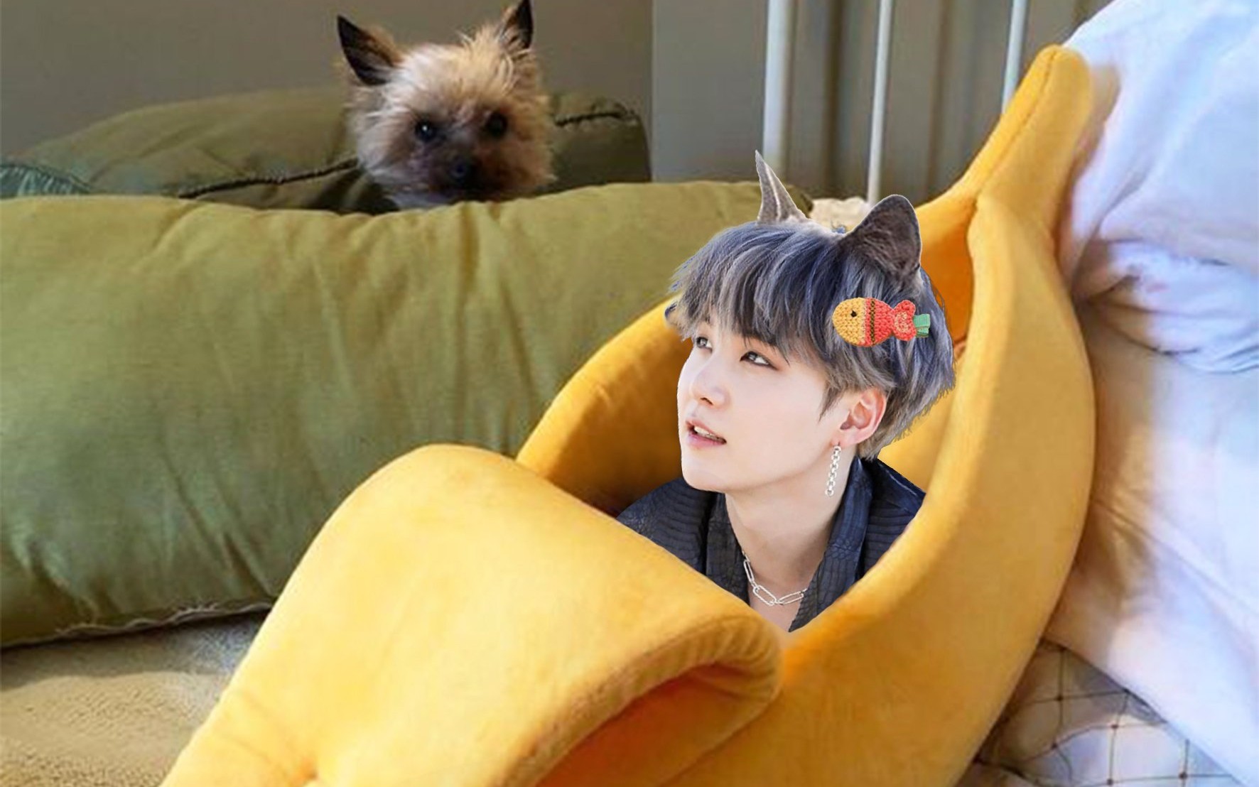 【防弹bts】快来看刚睡醒的胖弹宝宝们【防弹bts】果果与哥哥们相爱相