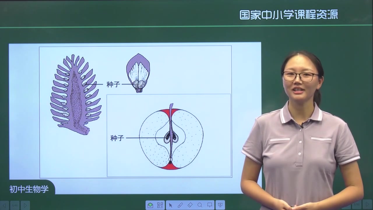 [图]初一生物上册七年级（领知识点课件习题 看我动态）生物上册生物 人教版