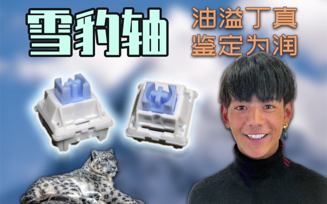 丁真亲测!丝滑脆响,厂润管够|雪豹轴上手体验测评  来自菜祝行哔哩哔哩bilibili