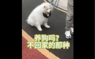 下载视频: 多多：“我耶耶！绝不向恶势力低头！”