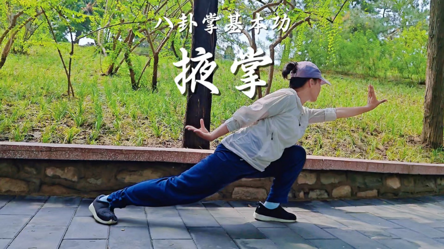 八卦掌基本功——掖掌