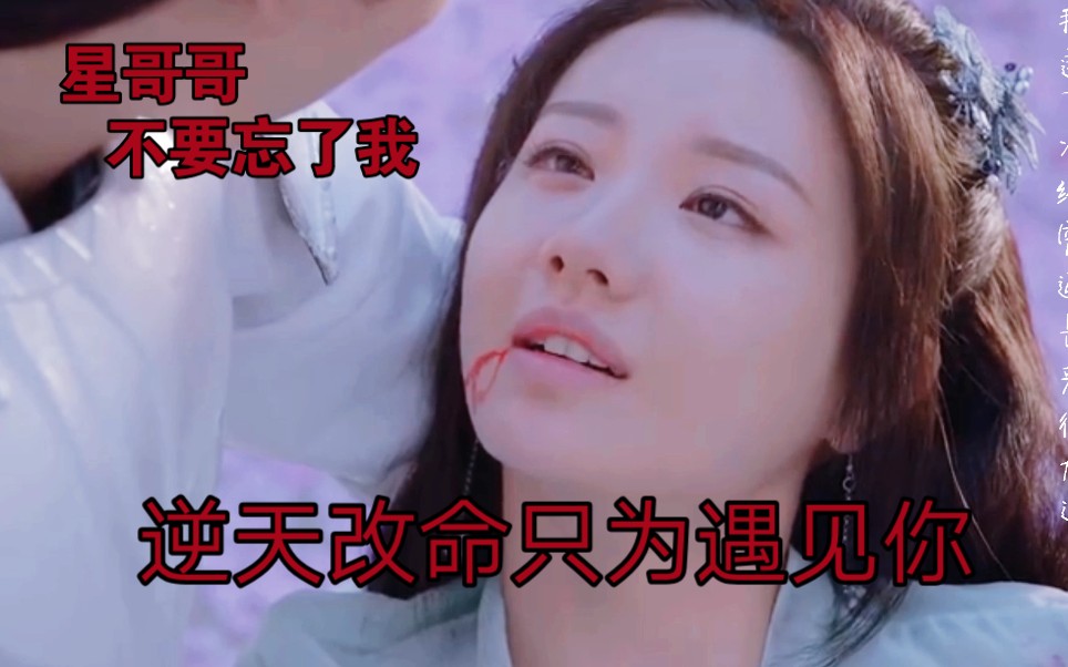 #寻青cp#上一世真是高虐啊?雪阡寻逆天改命只为下一世与你相遇哔哩哔哩bilibili