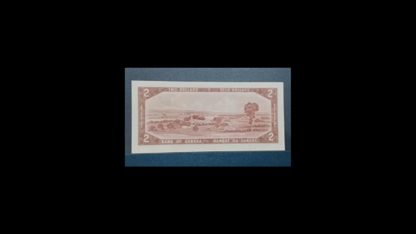 加拿大元南斯拉夫第纳尔人民币欧元和其他国家纸币收藏