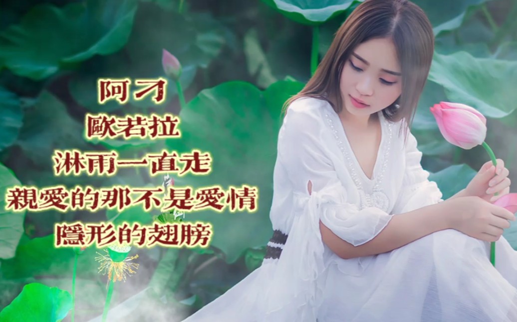 [图]张韶涵☆歌曲精选 阿刁 欧若拉 淋雨一直走 亲爱的那不是爱情 隐形的翅膀 一首比一首动听