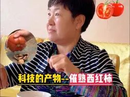 Video herunterladen: 没有味道的西红柿，你敢吃吗？