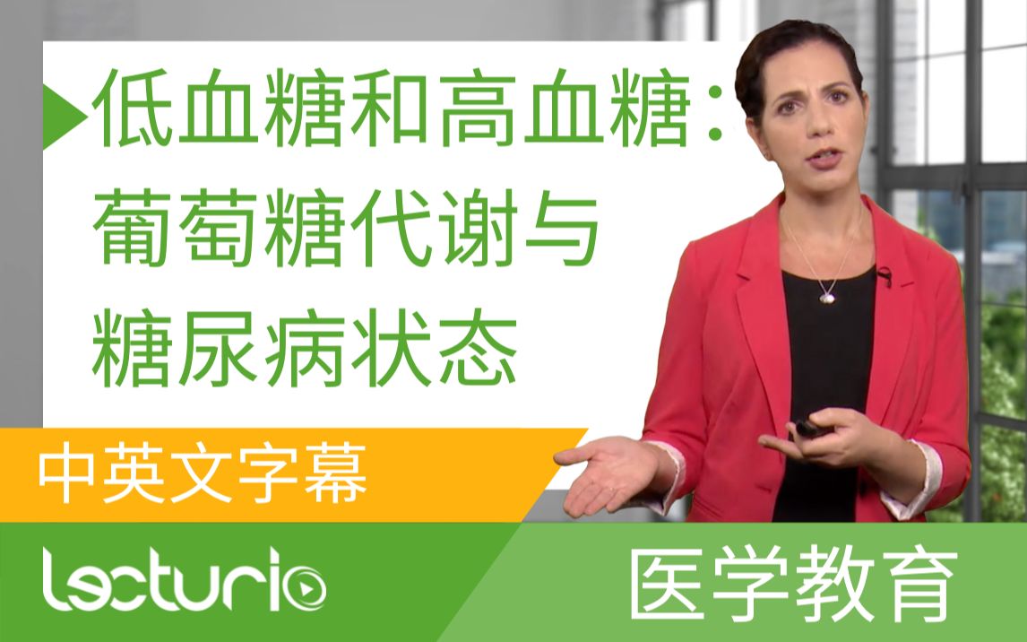 [Lecturio医学教育] 低血糖和高血糖:葡萄糖代谢与糖尿病状态 一一 急诊医学 (中英文字幕)哔哩哔哩bilibili