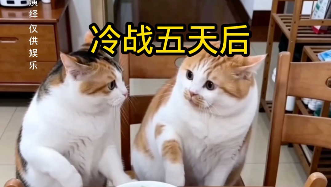 冷战五天后