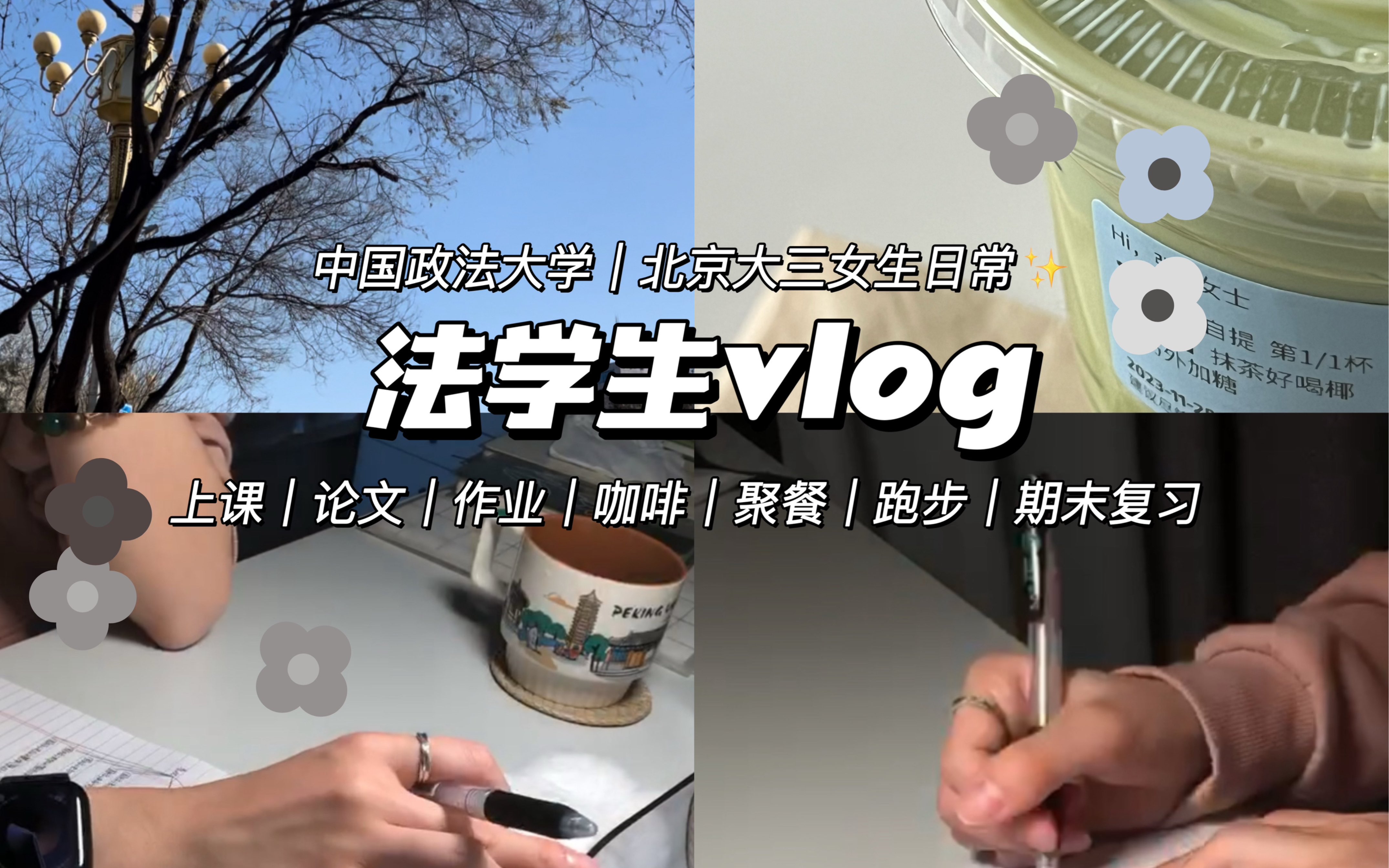 栩|法学生vlog35|北京大三女生日常|第14周|期末复习|抹茶|逛公园|写作业哔哩哔哩bilibili