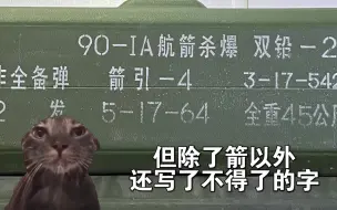 Download Video: 【猫meme】在美国买箭筒却买到中国产航空火箭筒