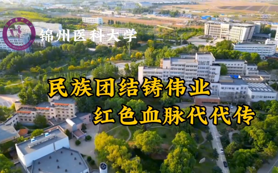 [图]锦州医科大学三下乡:红色“窦房结”党史教育团—民族团结铸伟业，红色血脉代代传 暑期社会实践纪录片