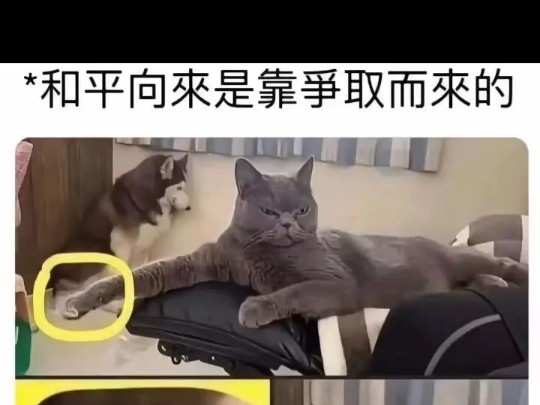 有趣搞笑图396哔哩哔哩bilibili