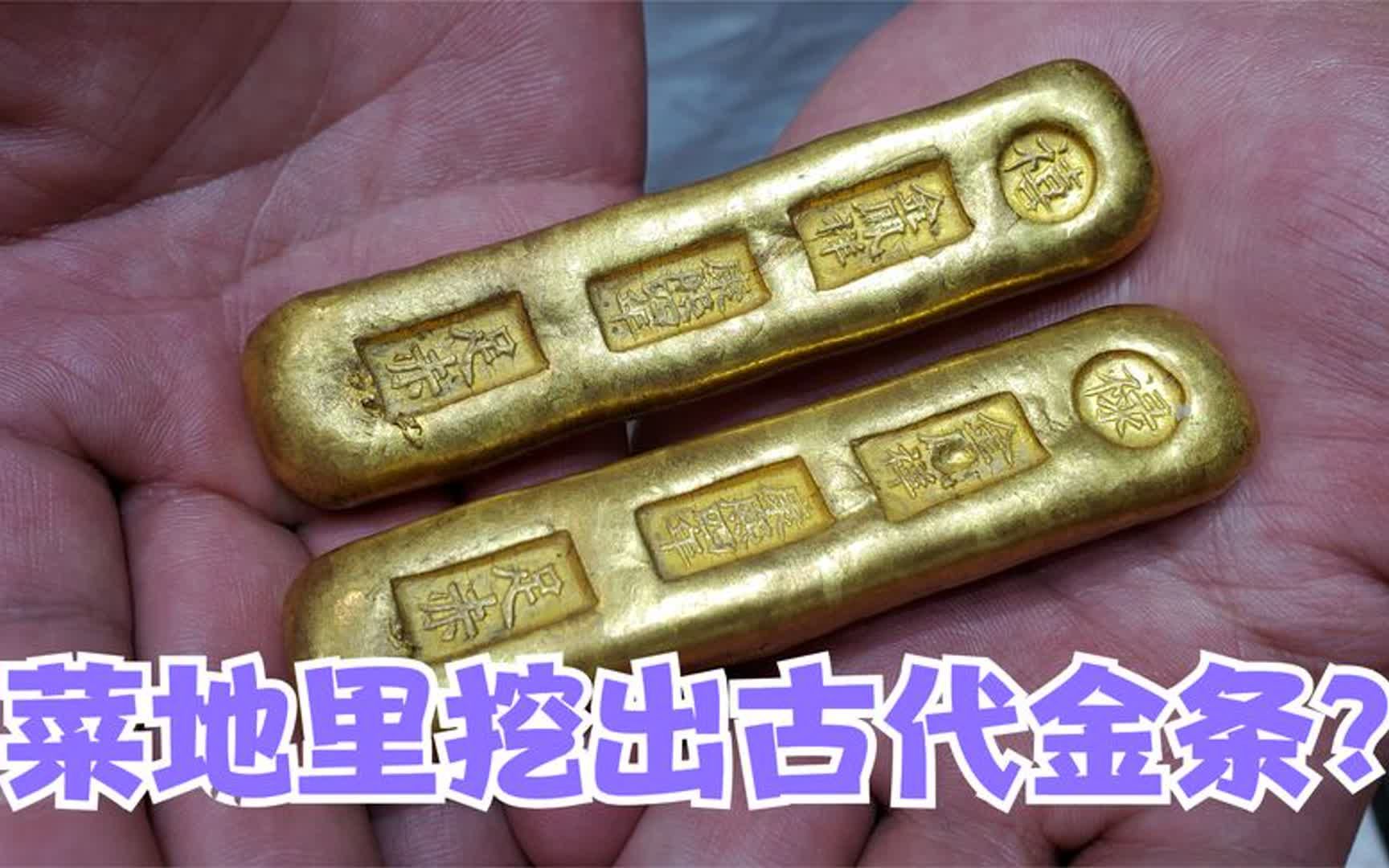 菜地里挖出两根古代金条?真品价值轻松上百万,还想卖了去提新车