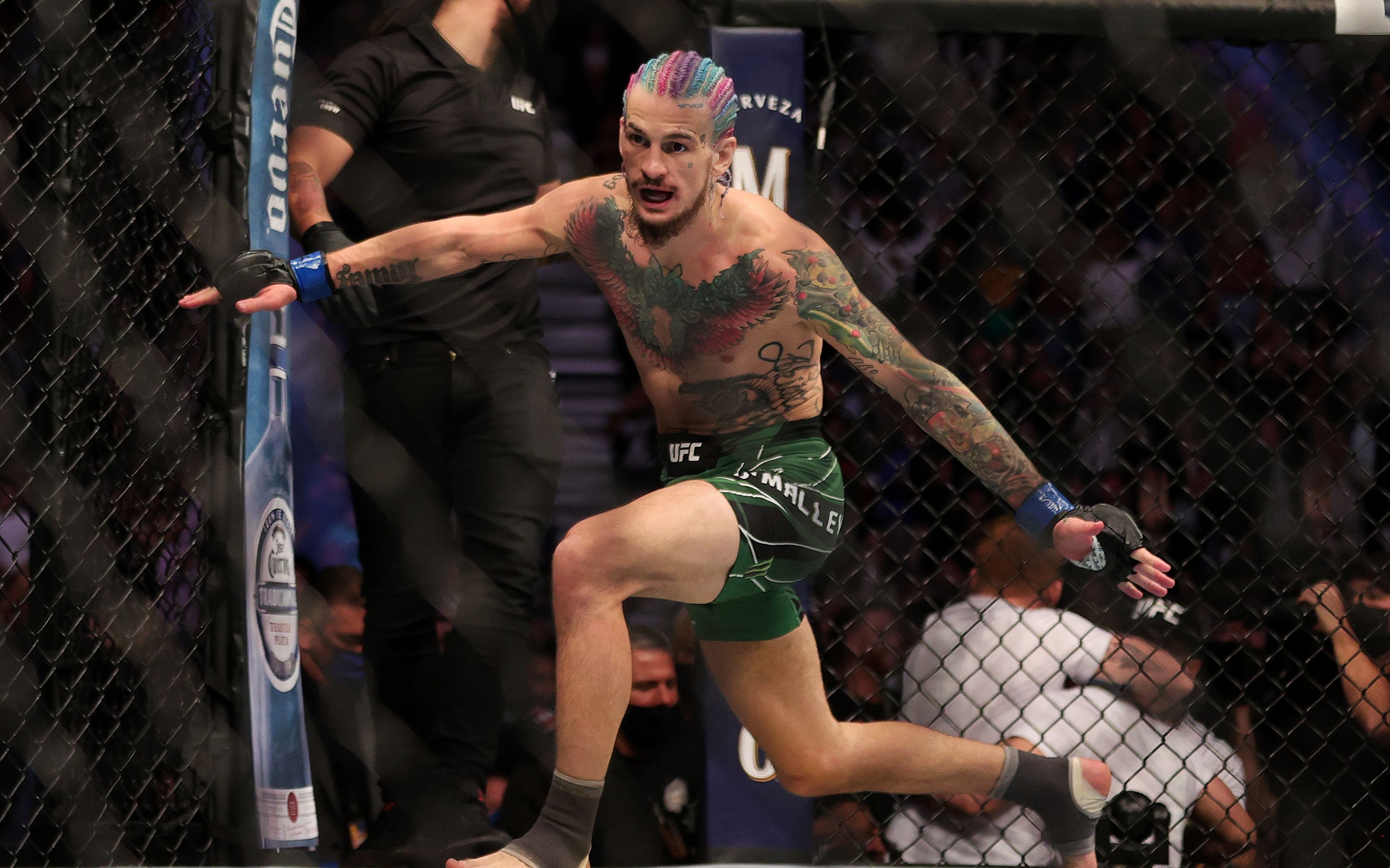 【ufc269 | 八角笼采访】主赛:奥马利差点因肋骨受伤而退赛