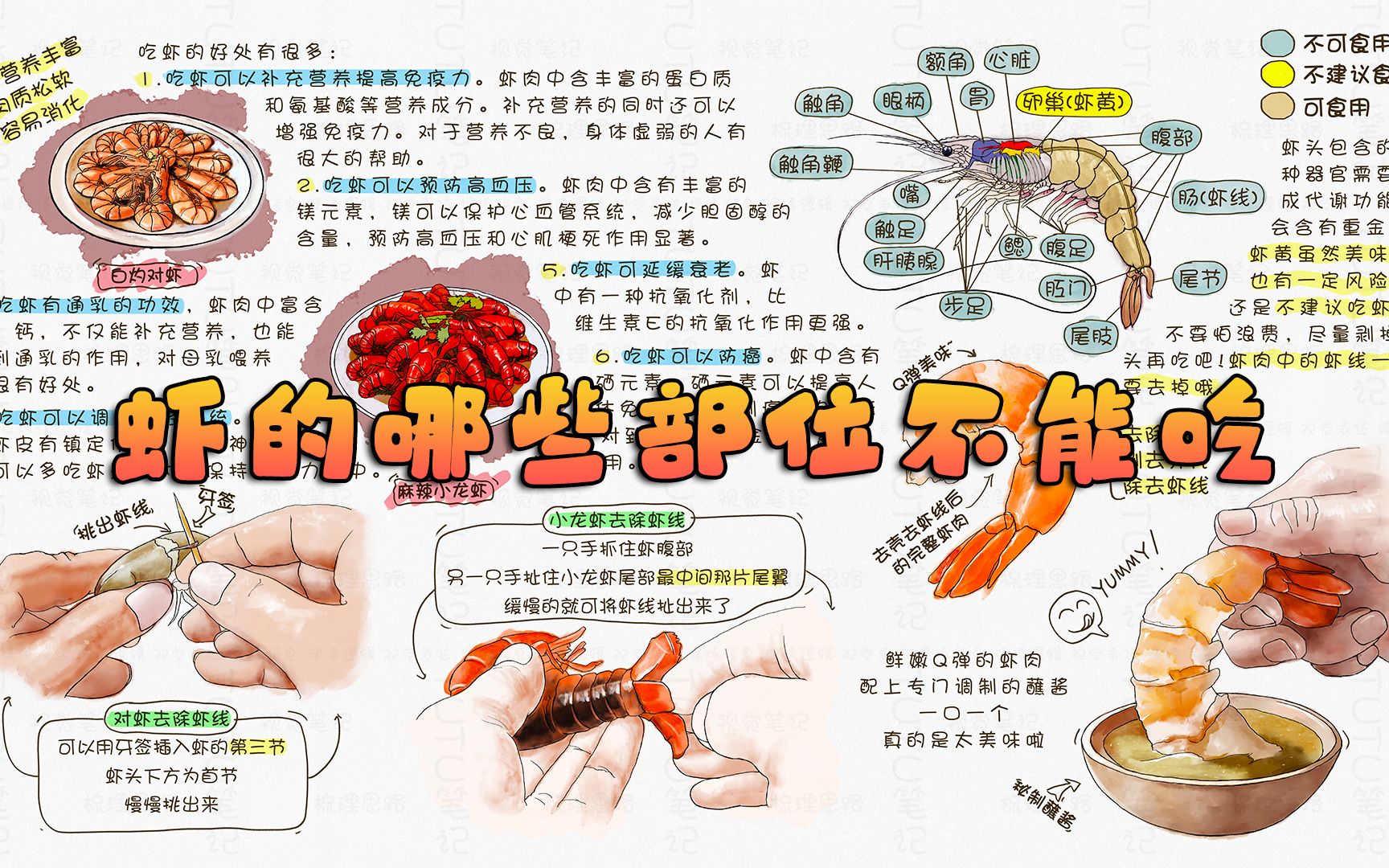 小龙虾哪里不能吃图解,小龙虾怎么吃,怎么清理龙虾胃囊图(第8页)_大山谷图库