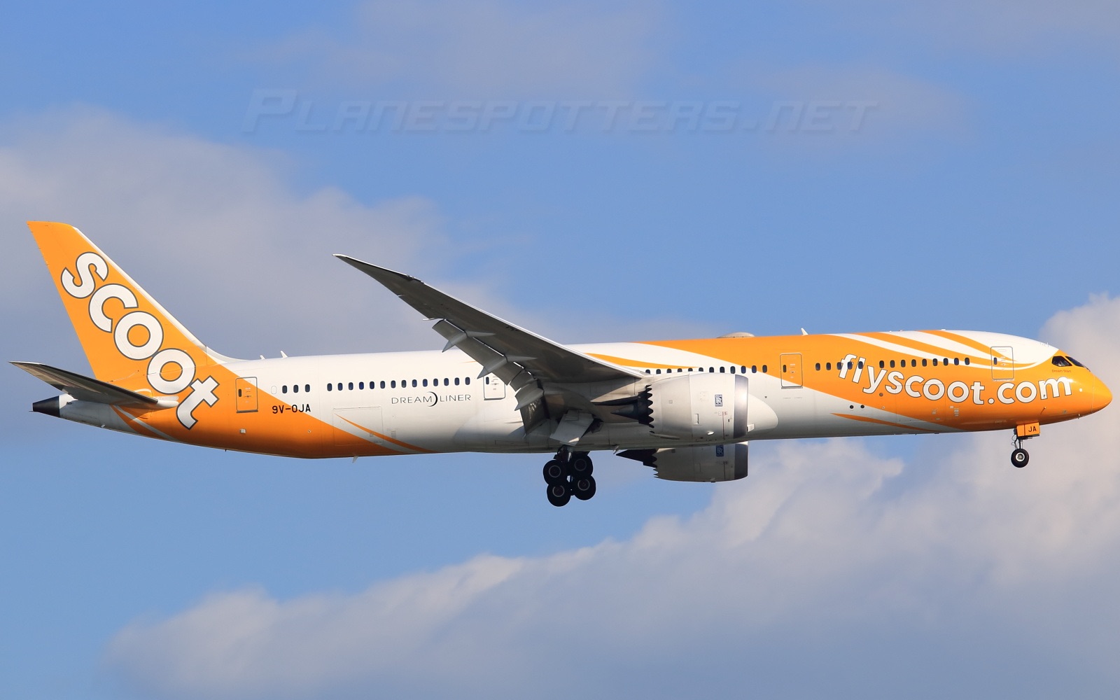 新加坡酷航波音789在沈阳桃仙机场滑行