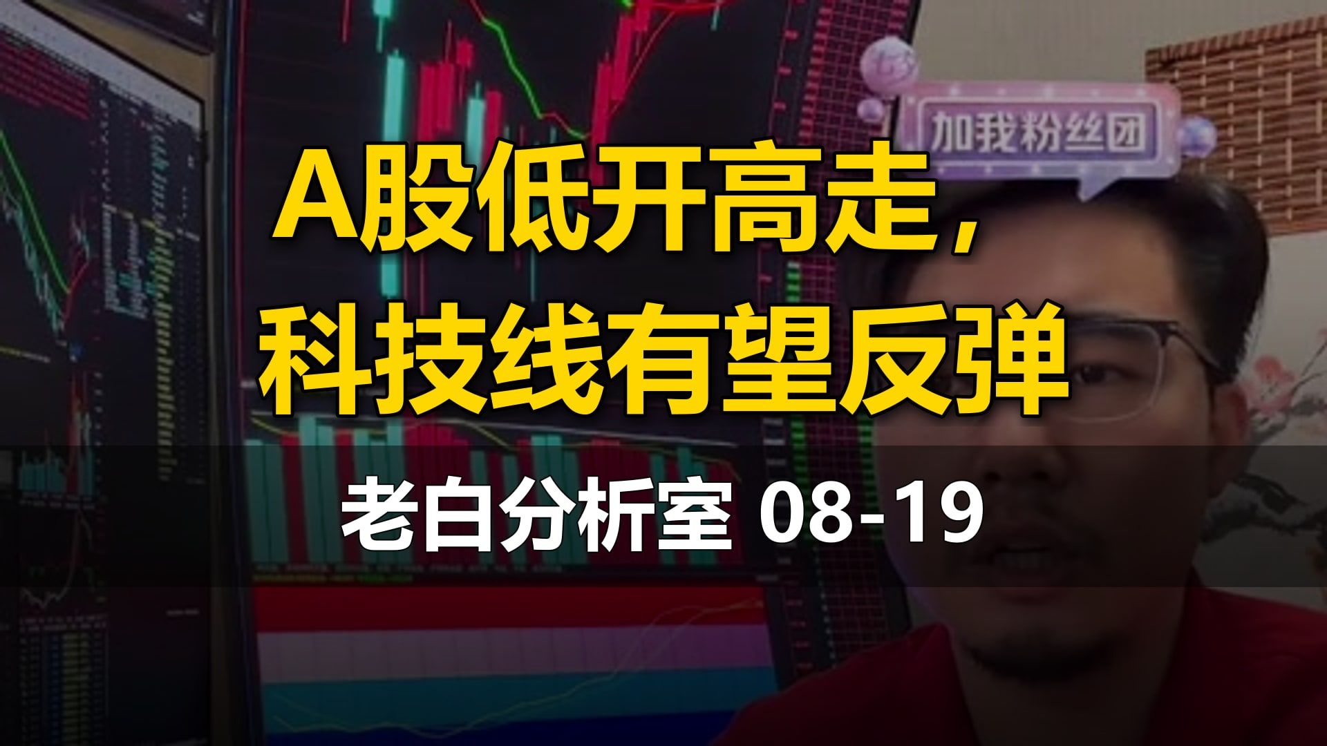 【老白分析室】08-19直播：A股低开高走，科技线有望反弹（科技线、煤炭、医药）