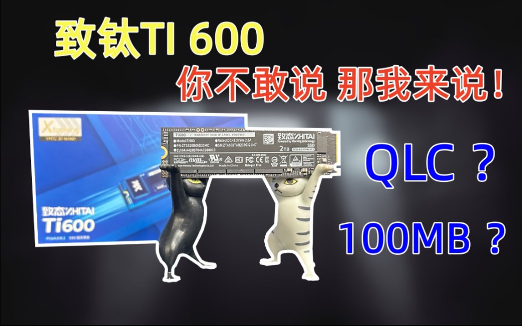 致态TI600测评:你不敢说?那我来说!QLC颗粒性价比低!!哔哩哔哩bilibili