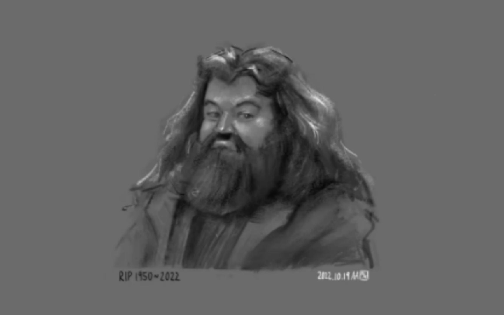 2022.10.19 肖像画过程 【rip  hagrid 海格 (robbie coltrane)】哔哩哔哩bilibili