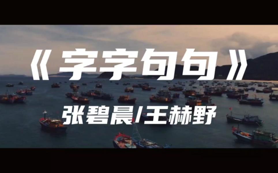 《字字句句》张碧晨/王赫野～他字字未提喜欢你 你句句都是我愿意-碍音乐-碍音乐-哔哩哔哩视频