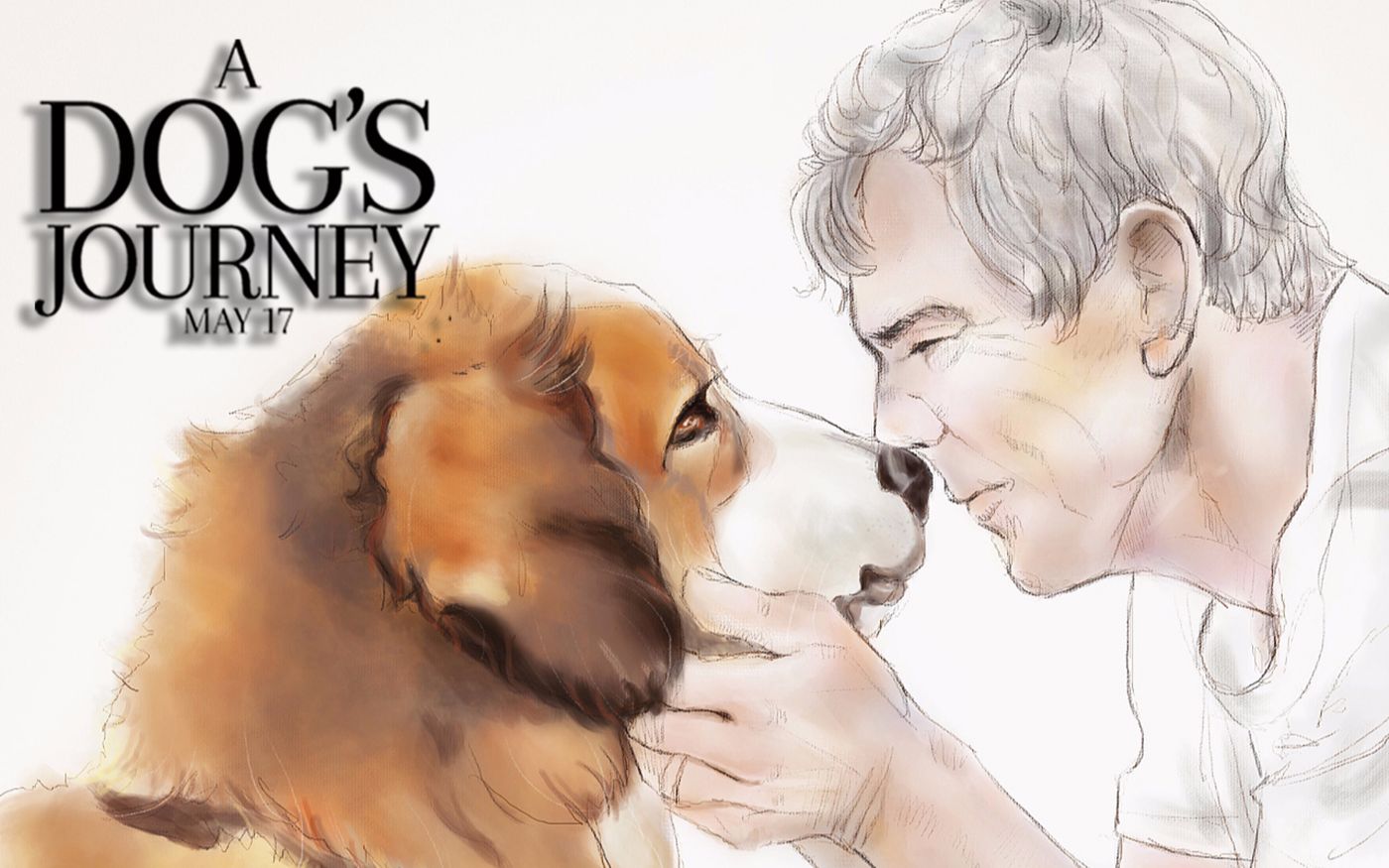一条狗的使命2电影预告只为遇见你