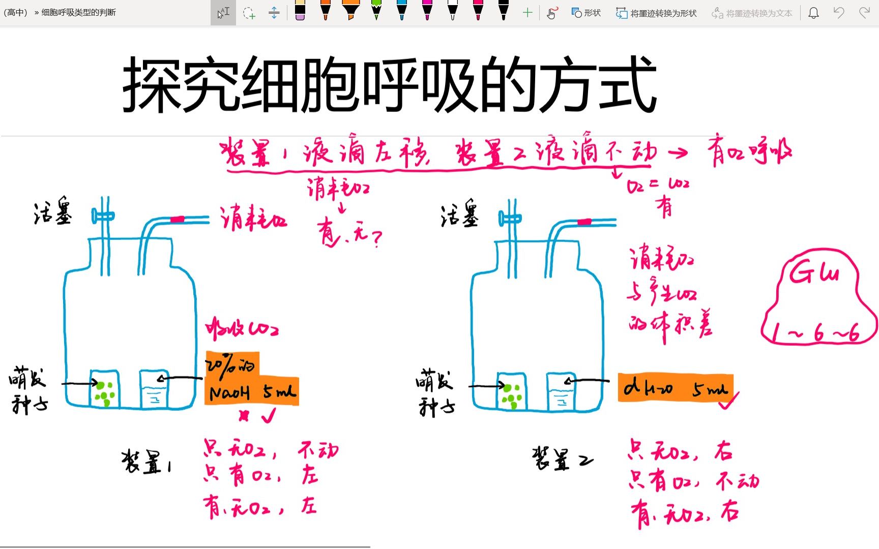 【高中生物】必修一|探究细胞呼吸的方式|有氧呼吸、无氧呼吸哔哩哔哩bilibili