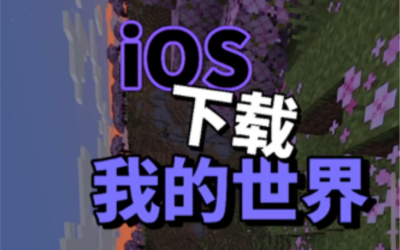 [图]iOS我的世界国际版下载教程