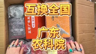 Descargar video: 内蒙特产换全国之广东农科院小姐姐把整个广东的东西都给我寄过来了呀