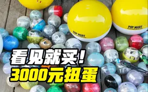 Download Video: 全北京最火的扭蛋店都去了，花了3000元玩到天黑