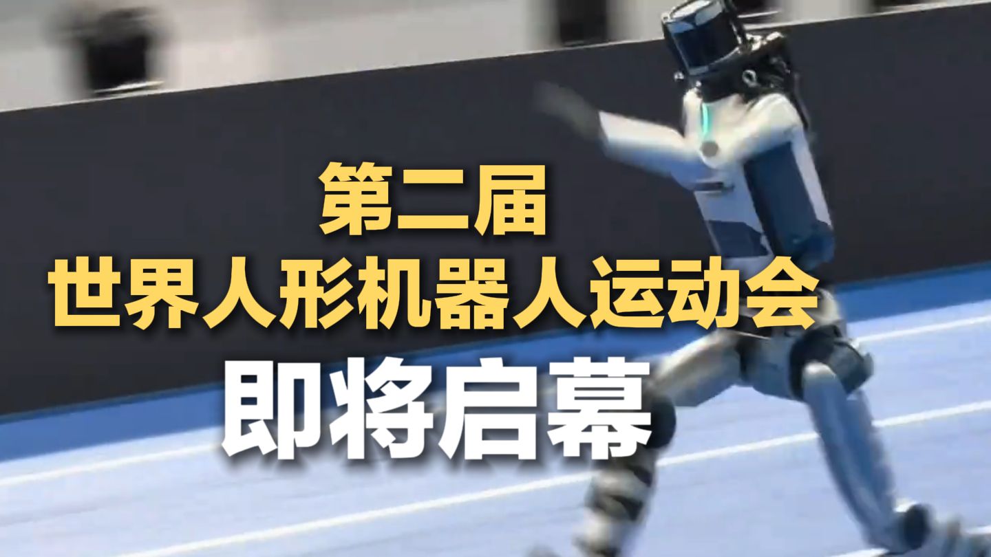 不是，感觉它在贴着地面飞......