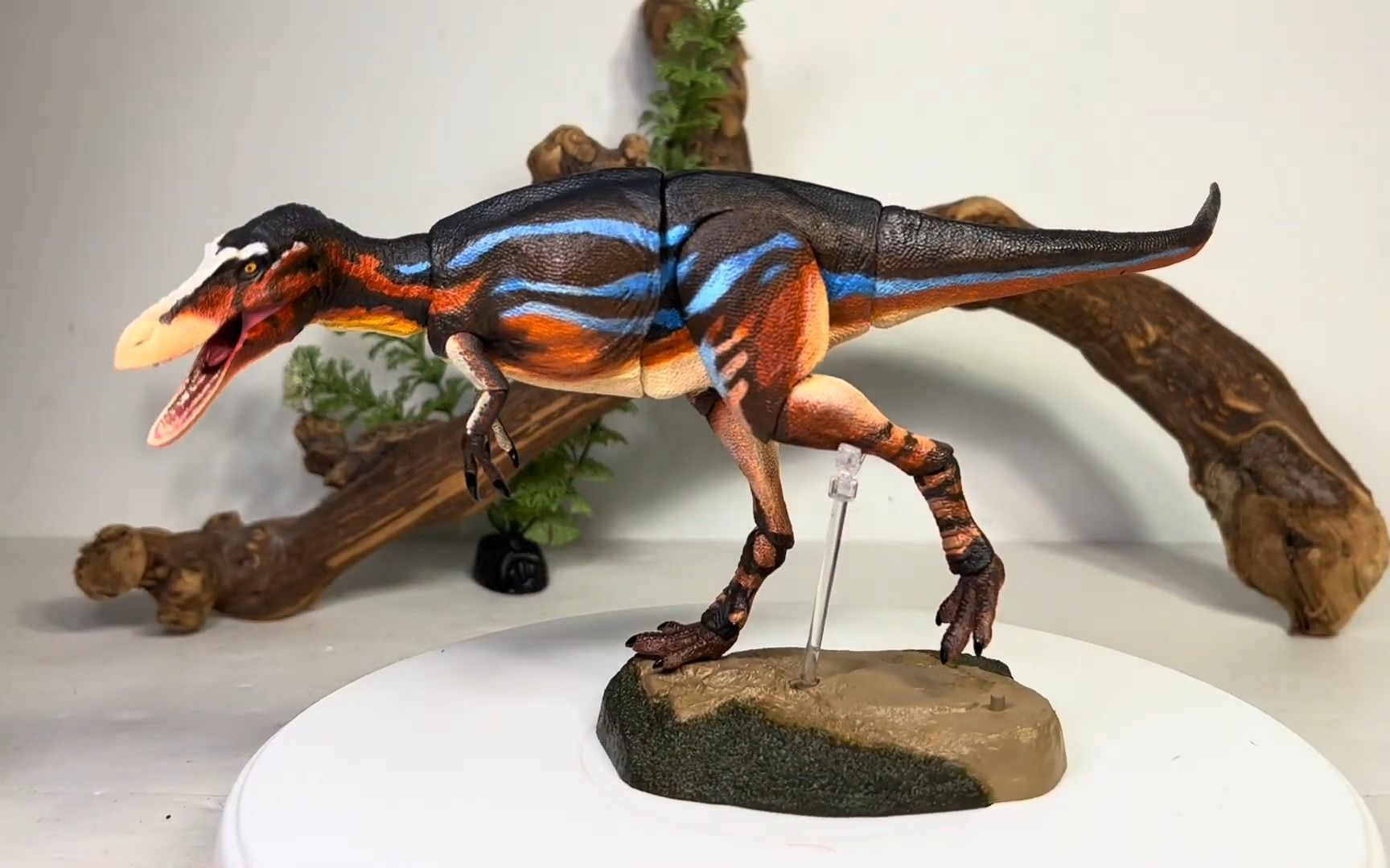 (转载)beasts of the mesozoic中华虔州评测!暴龙系列