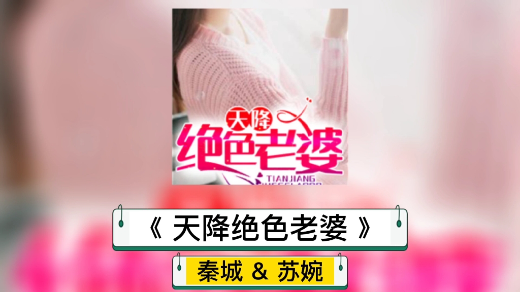 阅读《 天降绝色老婆》秦城 苏婉 最新章节txt全集下载哔哩哔哩bilibili