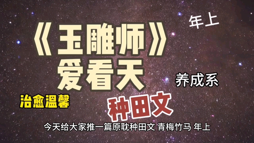 原耽甜文《玉雕师》爱看天,年上,养成系,治愈温馨向,种田文,好文看过不悔系列!!!哔哩哔哩bilibili