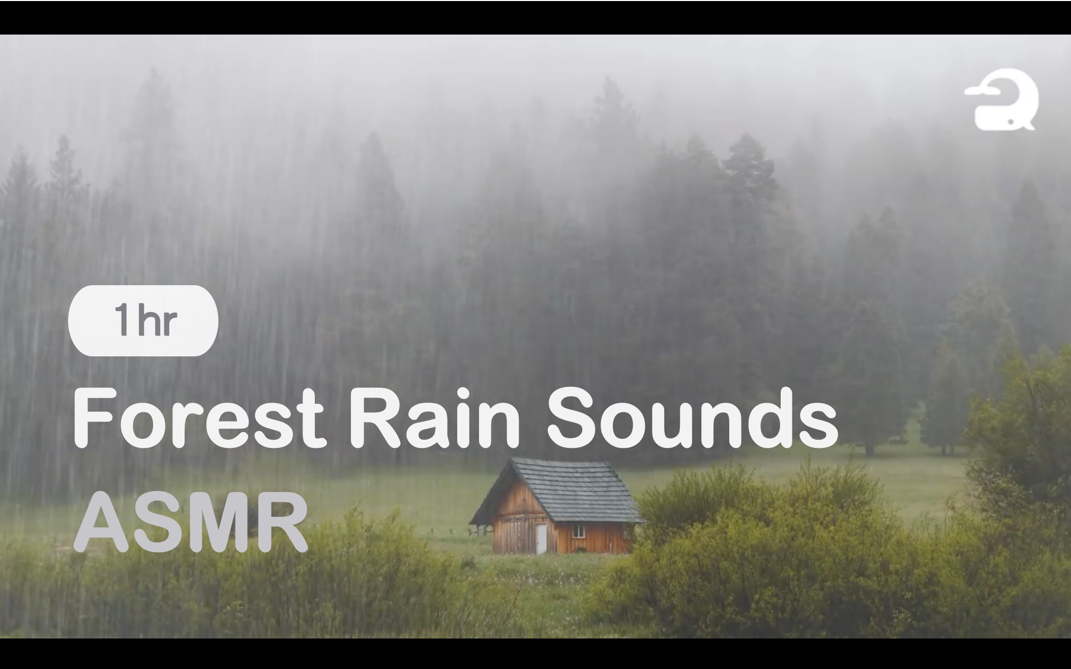 [Youtube搬运]学习专用 提升专注力 森林雨声1h Forest Rain Sounds-White Noise自然白噪音_哔哩哔哩 ...