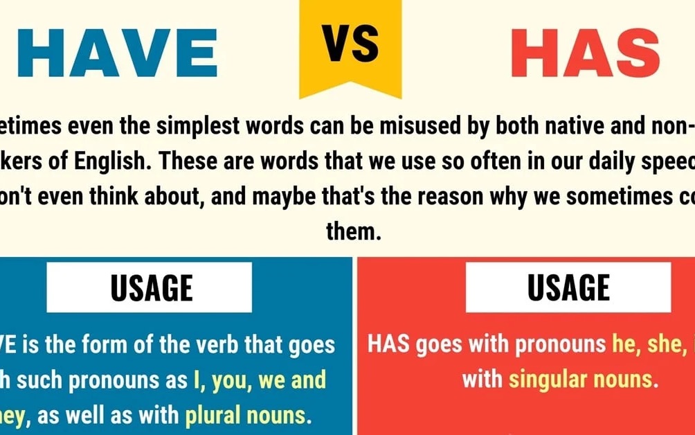 have - has   possessive adjectives – grammar exercises